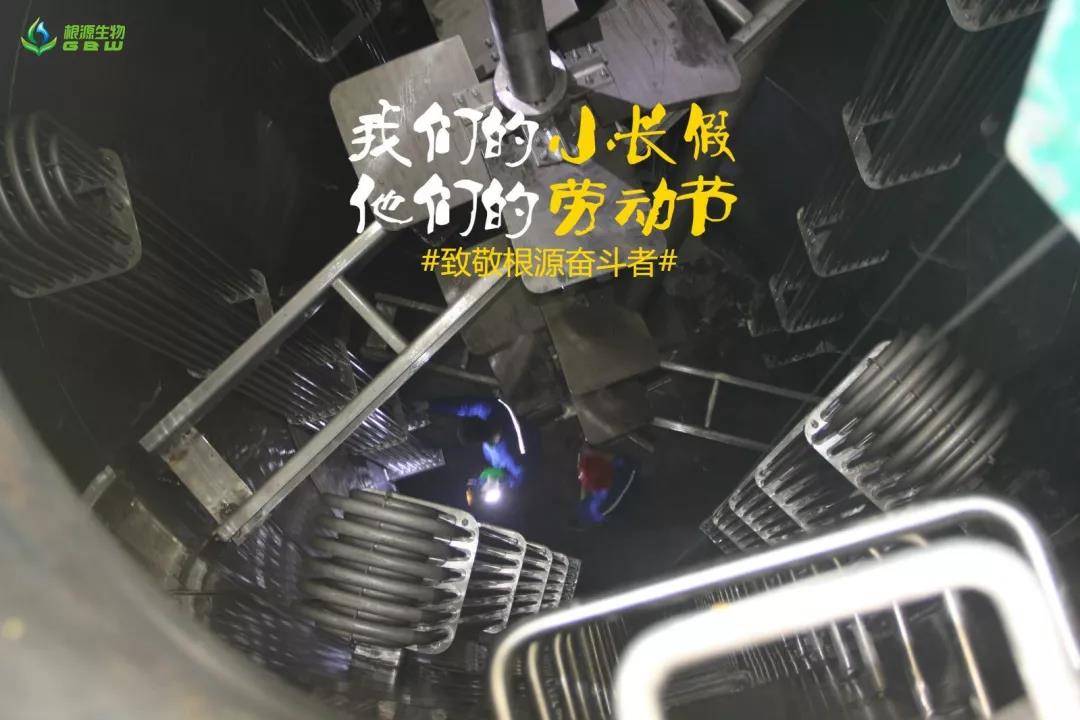 1562117902499216.jpg 1.jpg