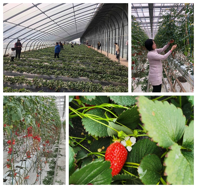 1618455128204726.jpg 1618454962(1)_副本.jpg